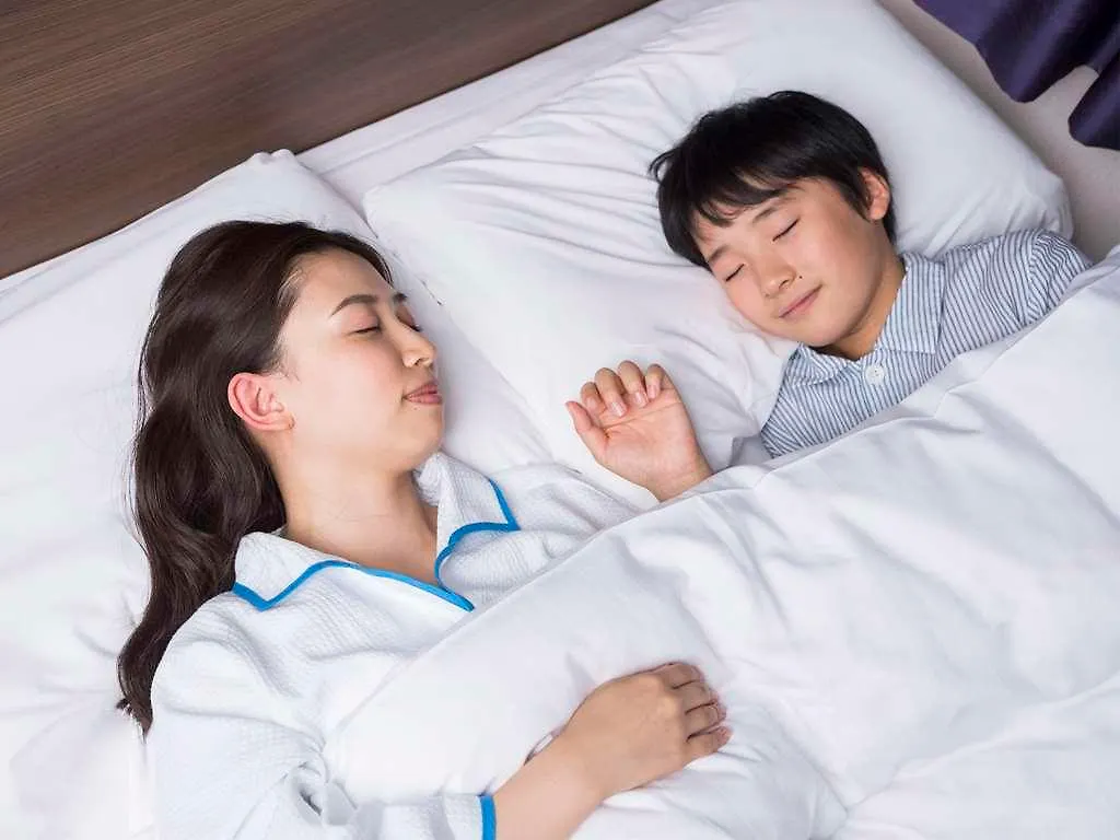 Comfort Hotel Era Tokyo Higashi Kanda 3*,